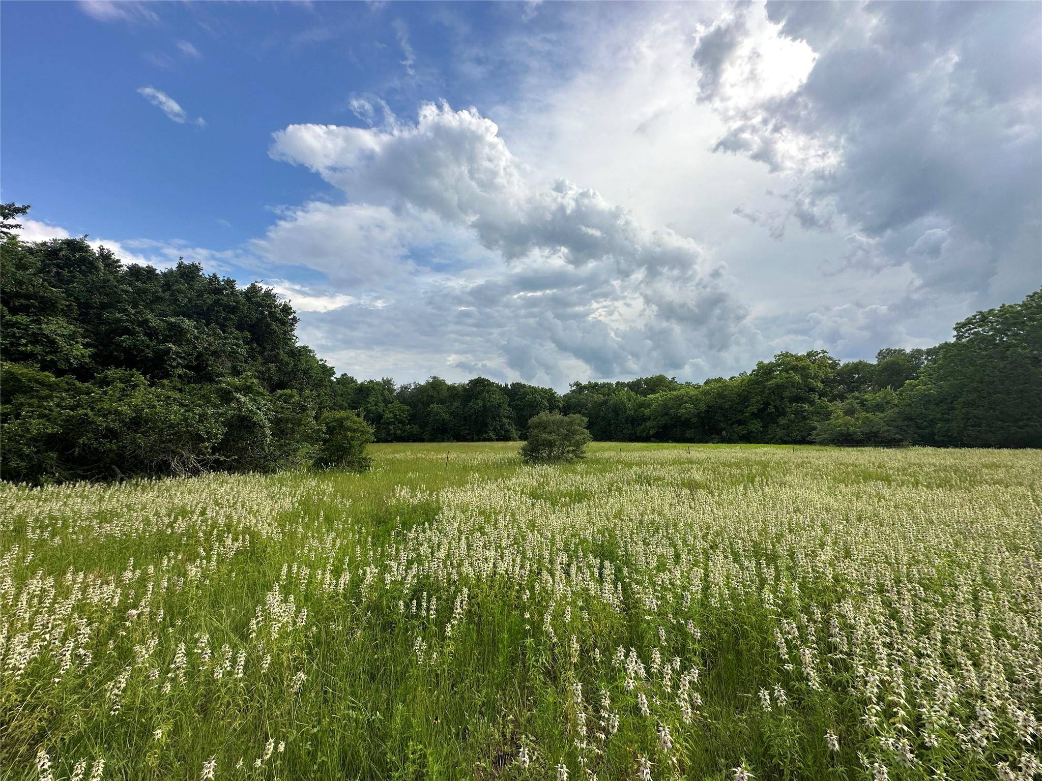 Schulenburg, TX 78956,TBD - Lot 7 County Road 222