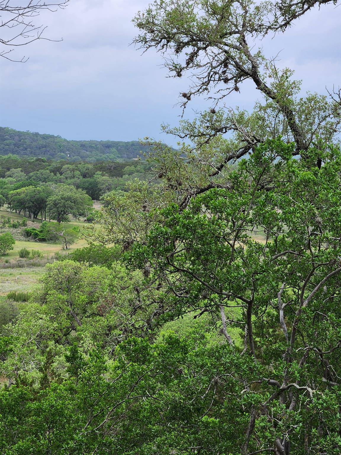 Canyon Lake, TX 78133,1279 Kings Cove DR