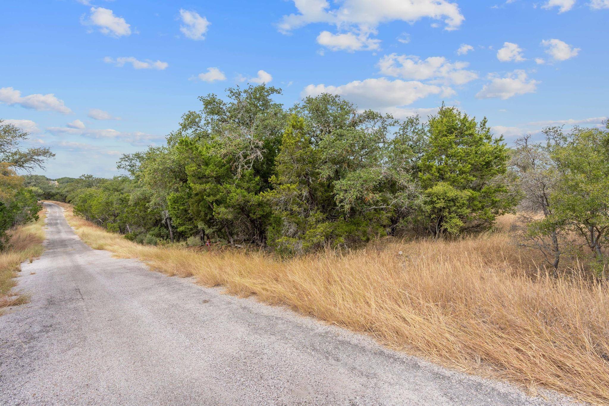 Horseshoe Bay, TX 78657,TBD Bald Eagle