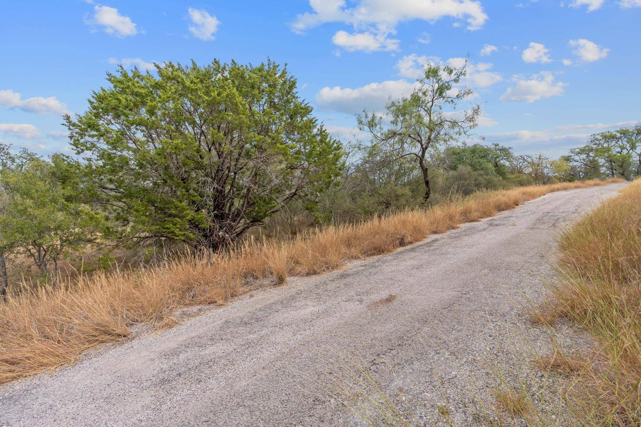 Horseshoe Bay, TX 78657,TBD Bald Eagle