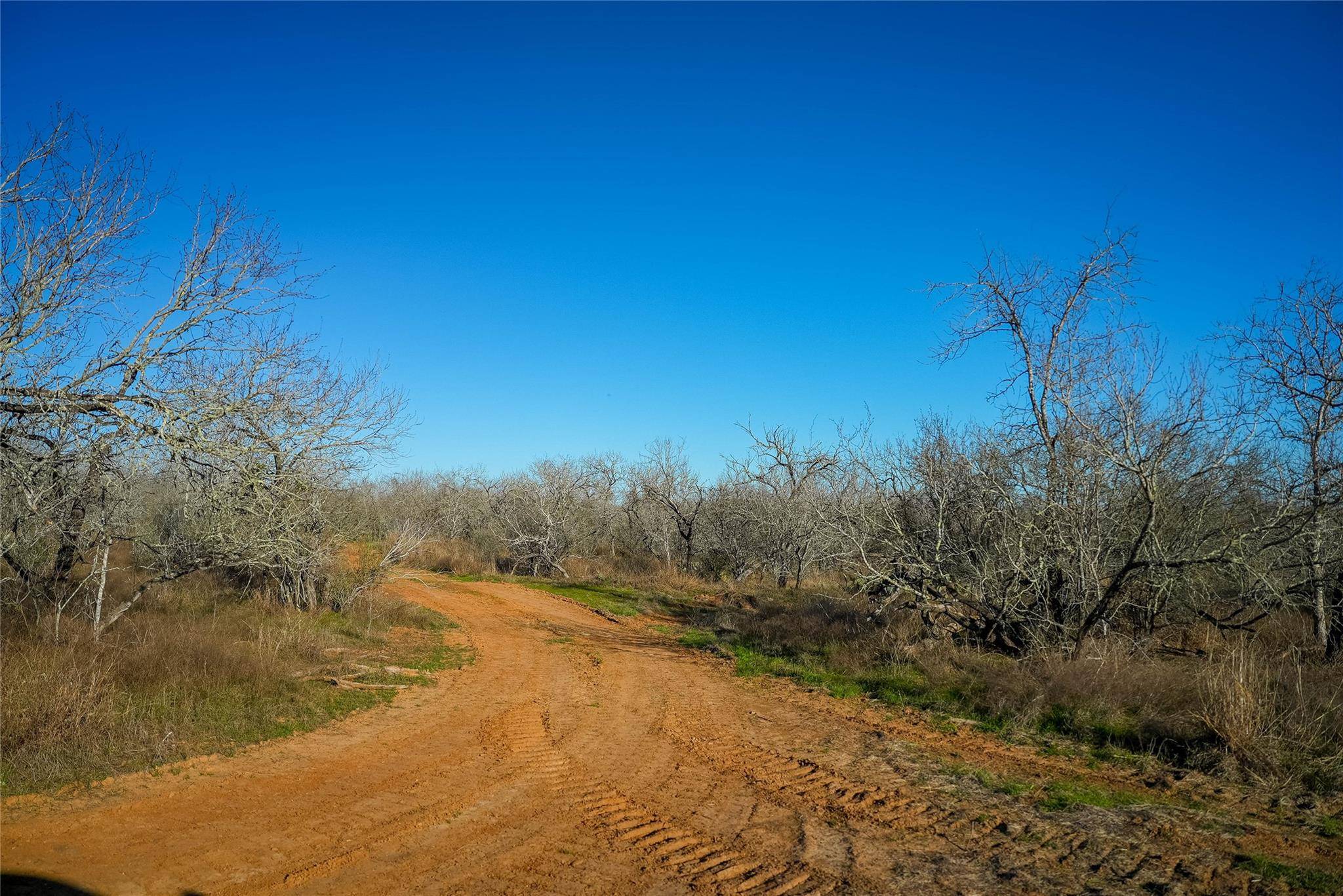 Seguin, TX 78155,0 Tract 6 Cross RD