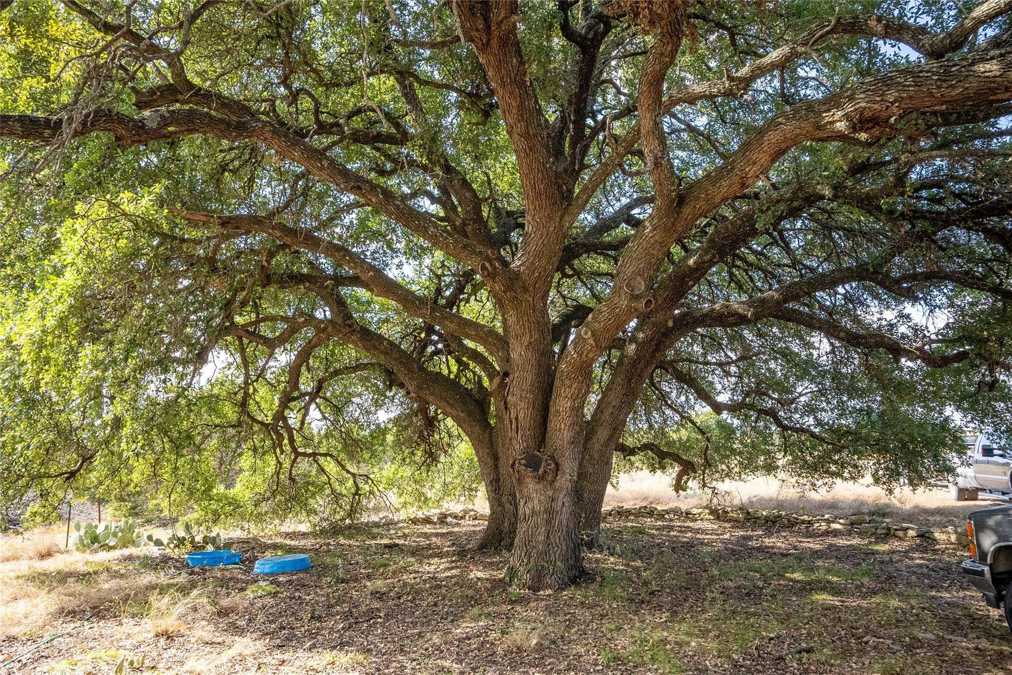 Lampasas, TX 76550,9012 County Road 3420