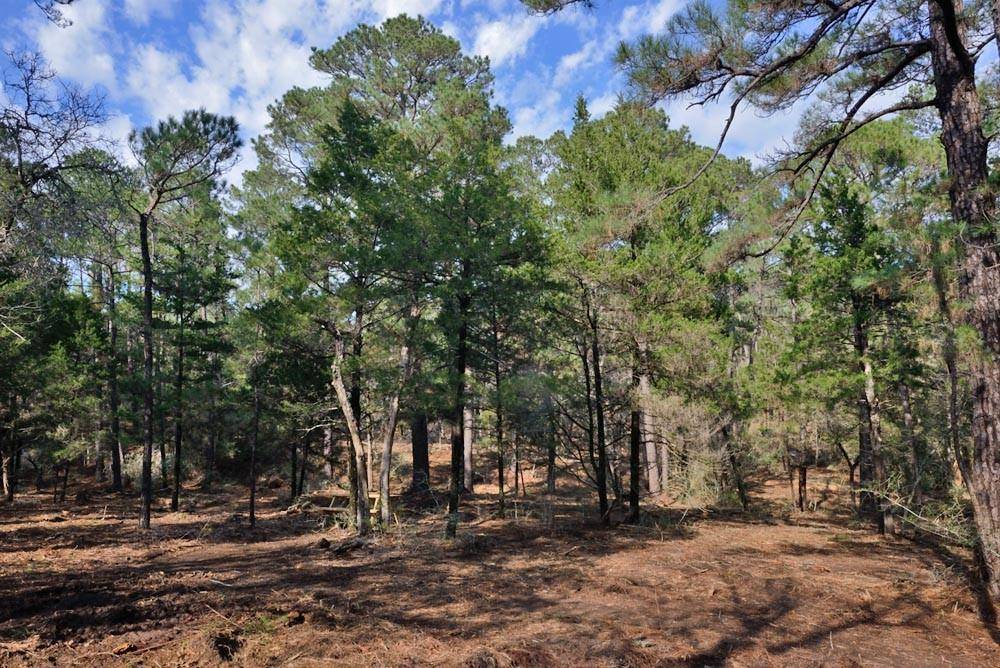 Rosanky, TX 78953,TBD Lot 4 Sandy RD