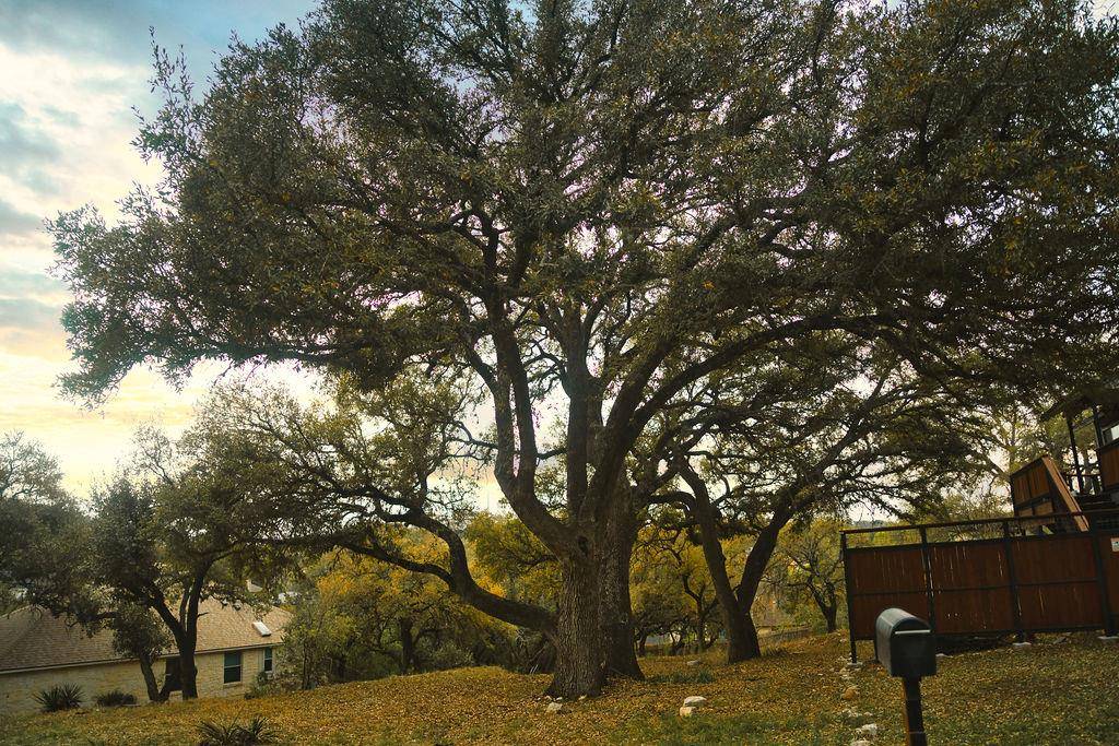 Austin, TX 78734,15505 Enid DR