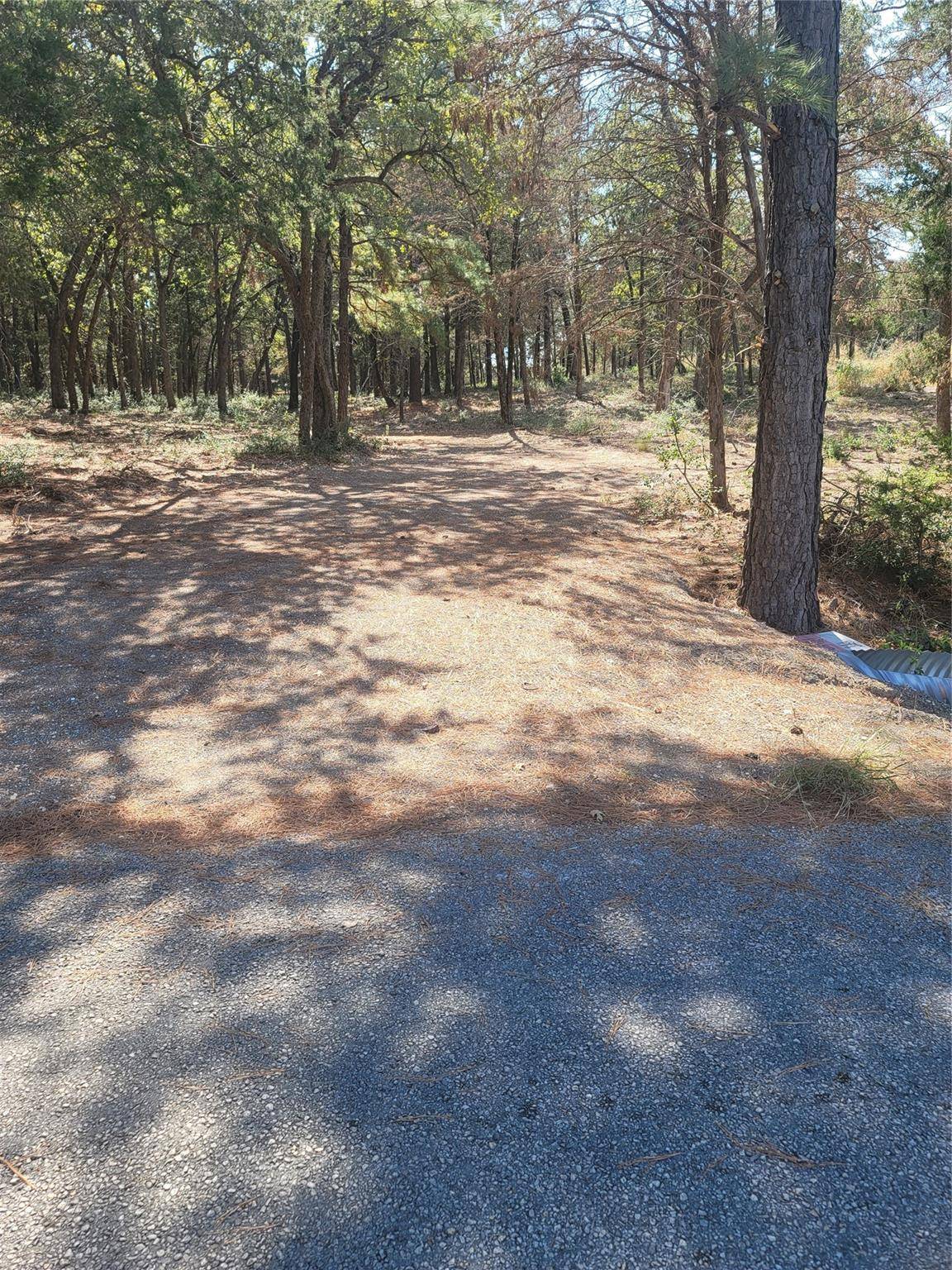 Mcdade, TX 78650,lot 1 Marlin ln. County Rd 142 RD