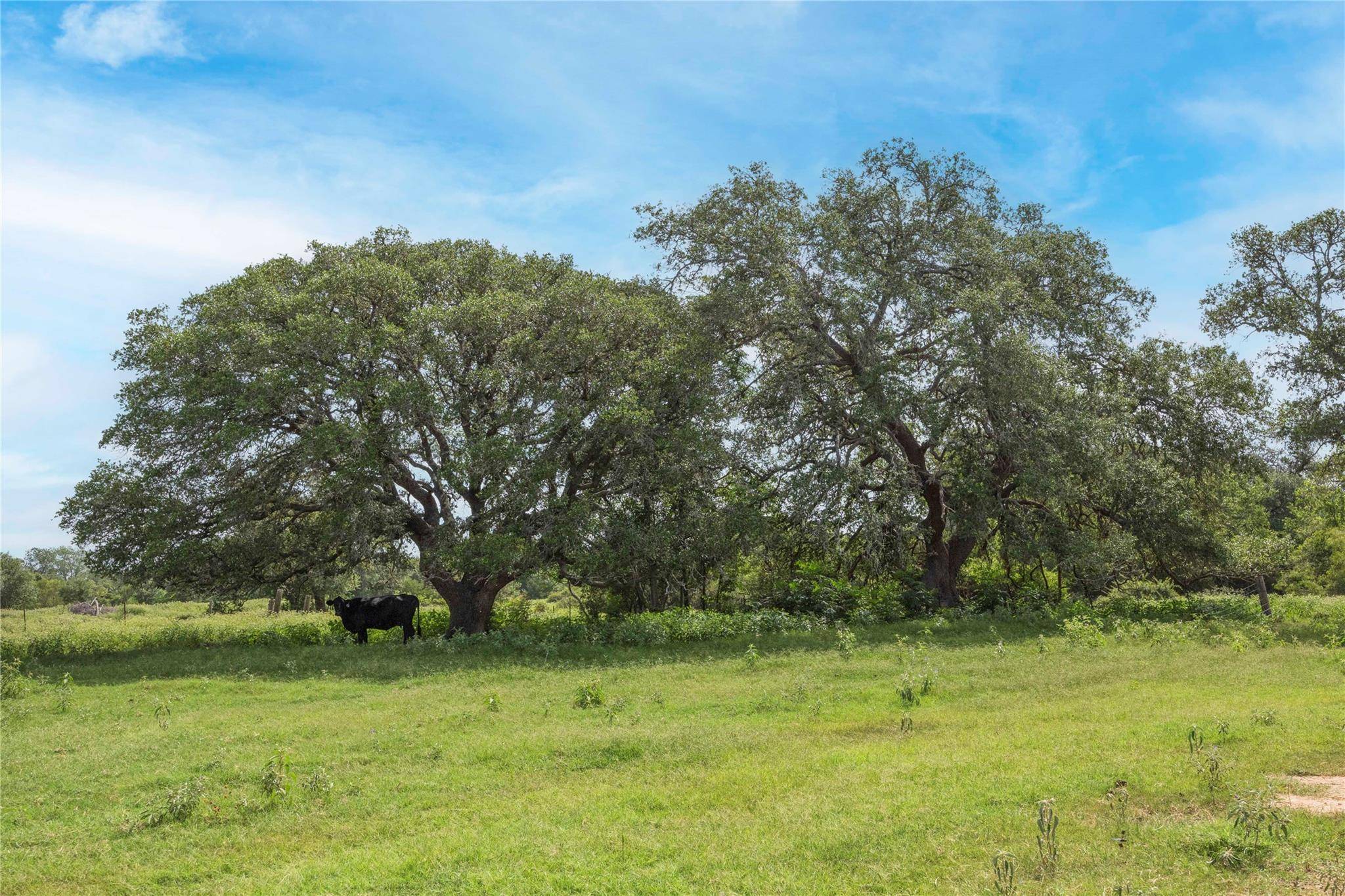 Hallettsville, TX 77964,05 CR 212