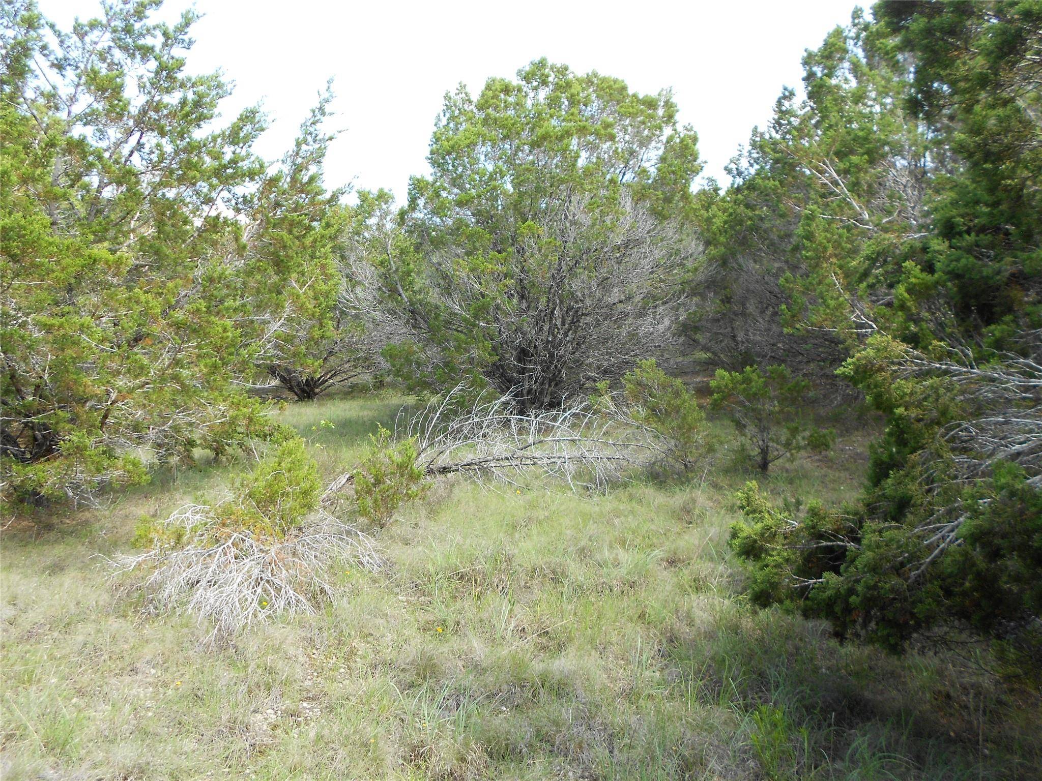 Lago Vista, TX 78645,20604 Overland TRL