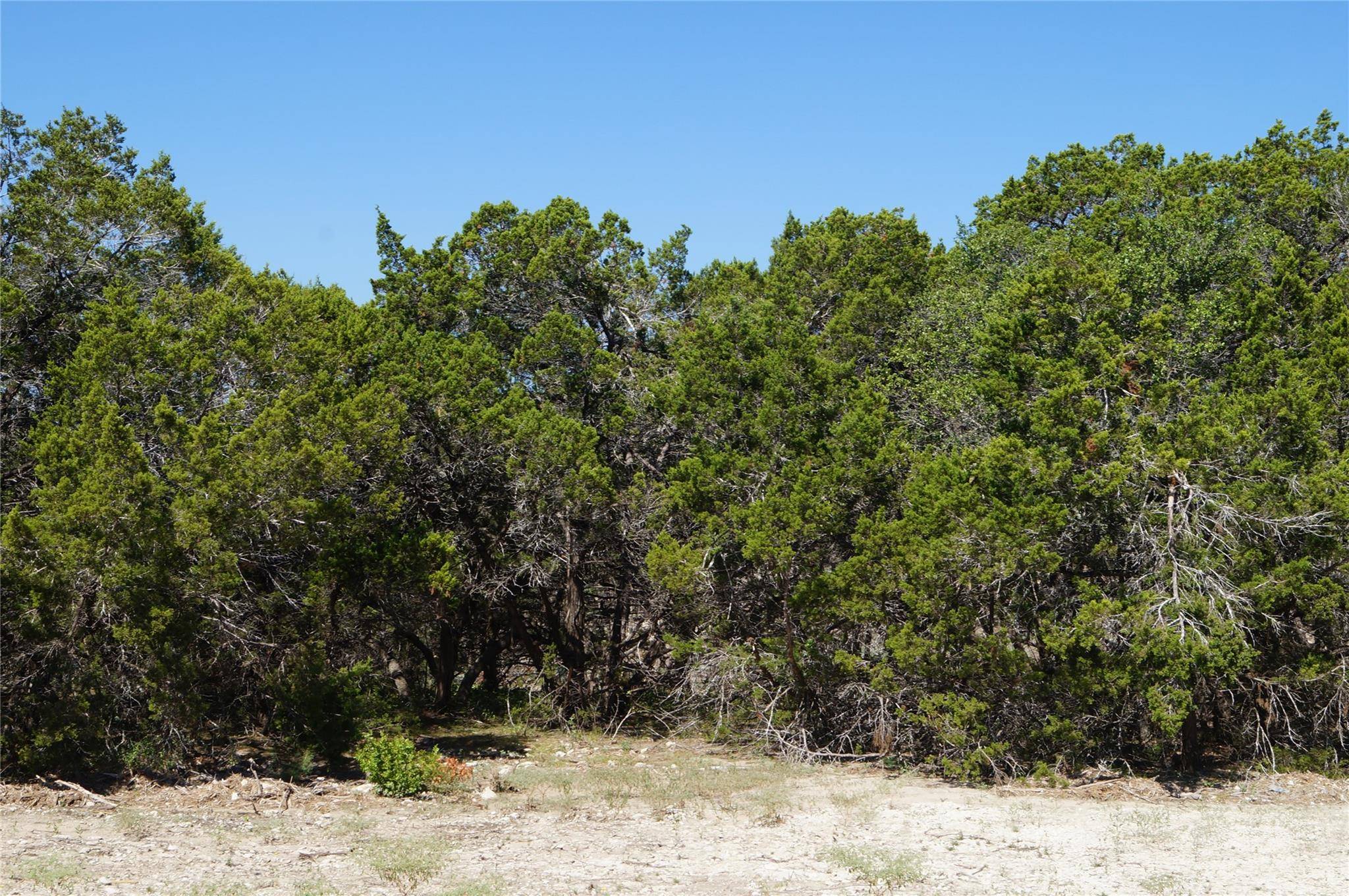 Fischer, TX 78623,6037 Sentry PT