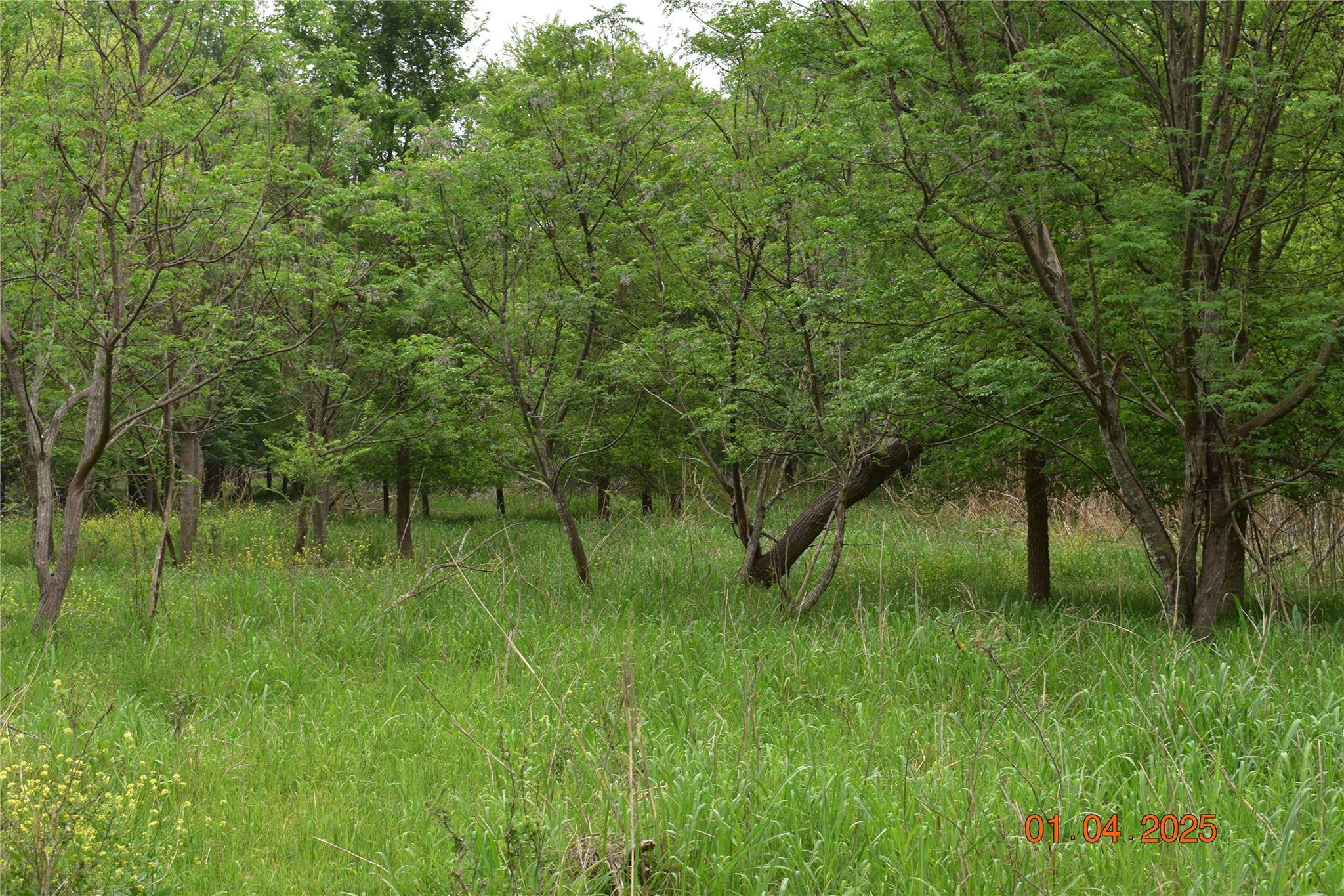 New Braunfels, TX 78130,240 Caney Creek RD