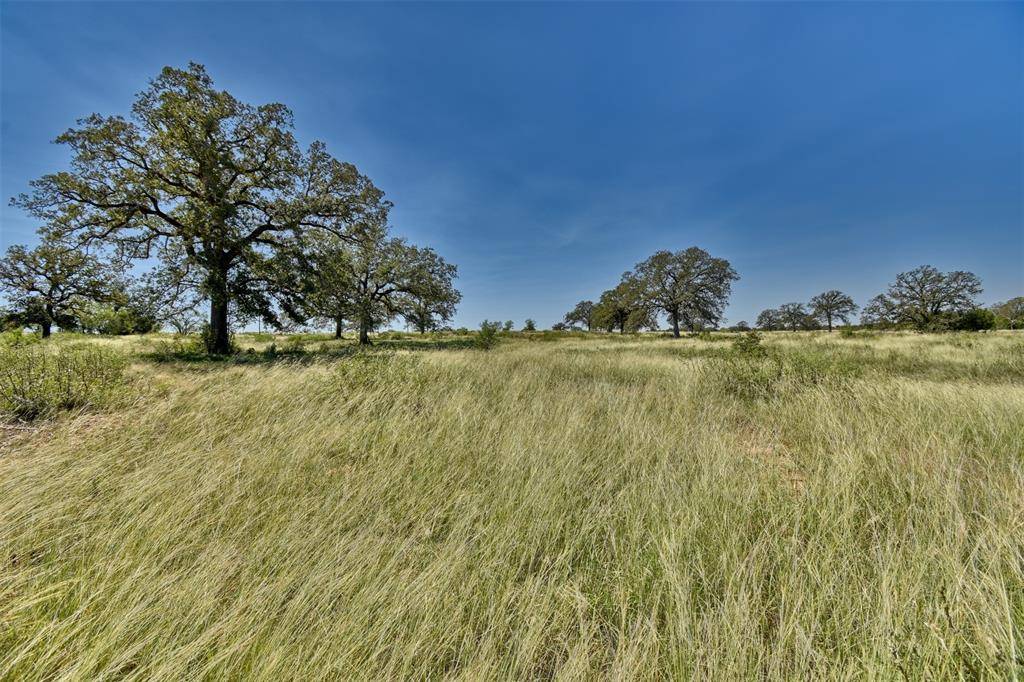 Red Rock, TX 78662,1-7 (2 Acres) New Moon CT