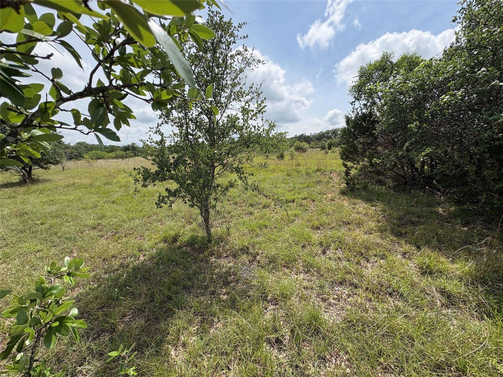 Cypress Mill, TX 78663,TBD Shovel Mountain RD
