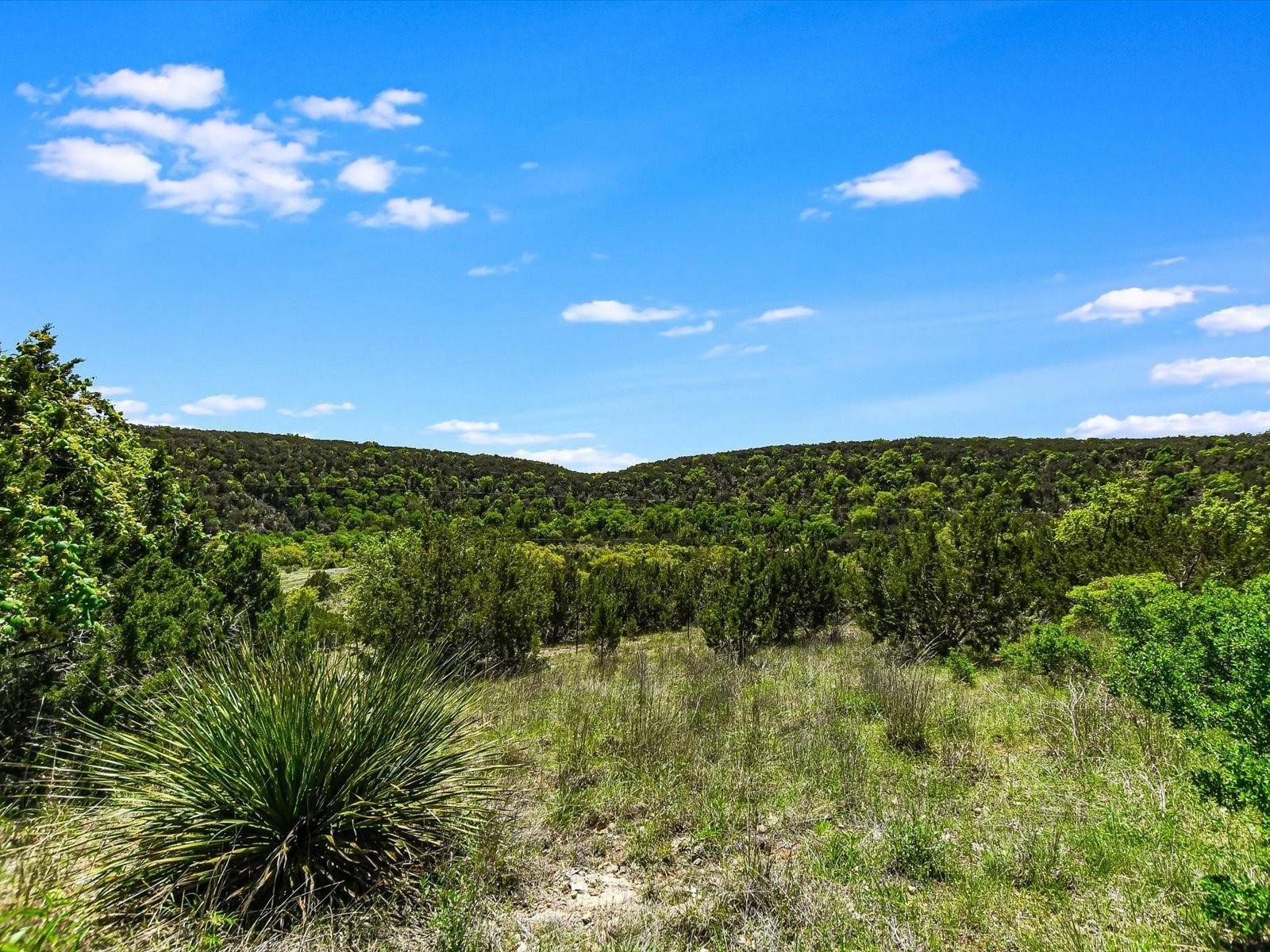 Wimberley, TX 78676,001 Red Hawk RD