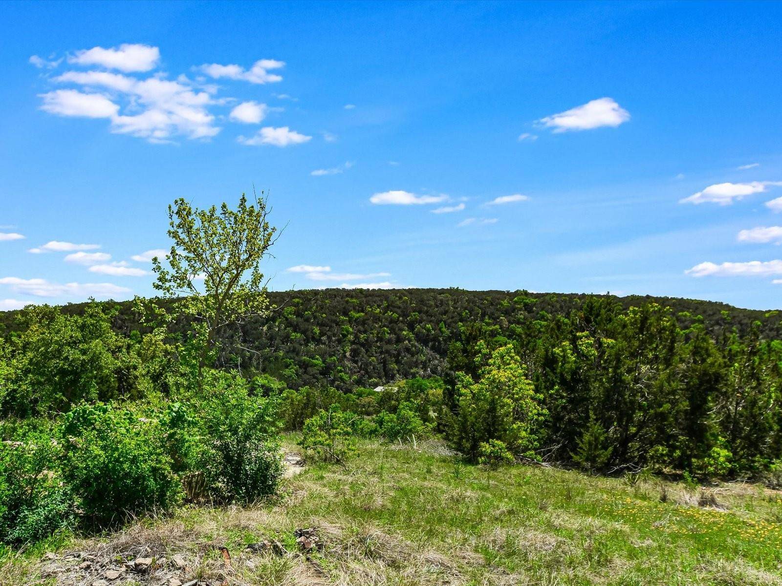 Wimberley, TX 78676,001 Red Hawk RD
