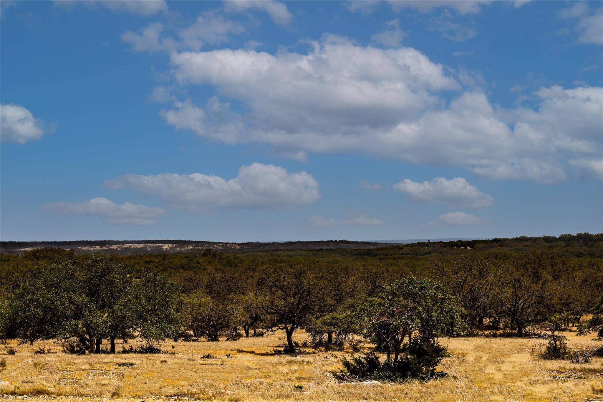 Mountain Home, TX 78058,1408acres TX-41 HWY