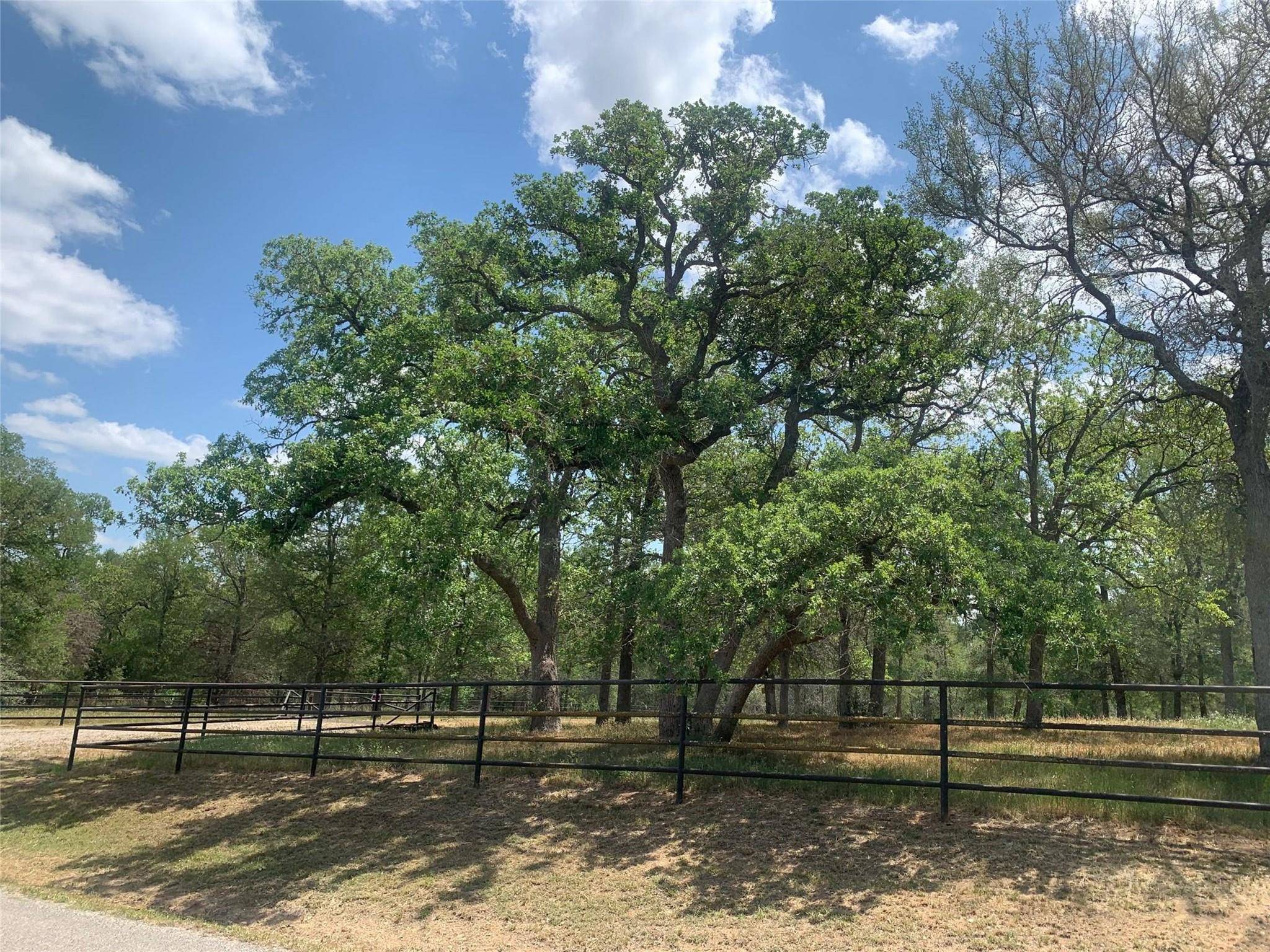 Bastrop, TX 78602,TBD Lower Red Rock RD