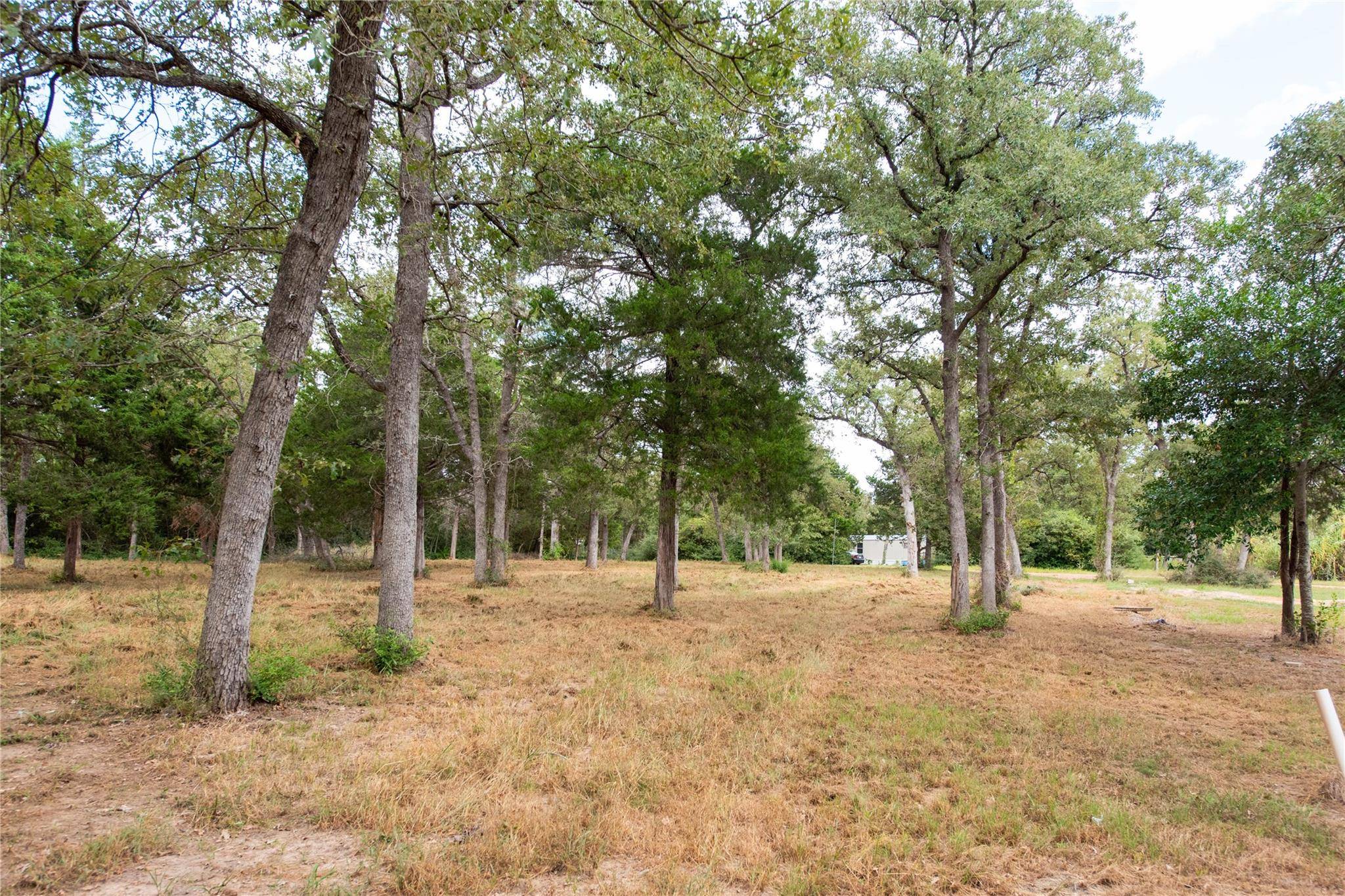 Somerville, TX 77879,TBD Grape Cir (1.2 Acres)