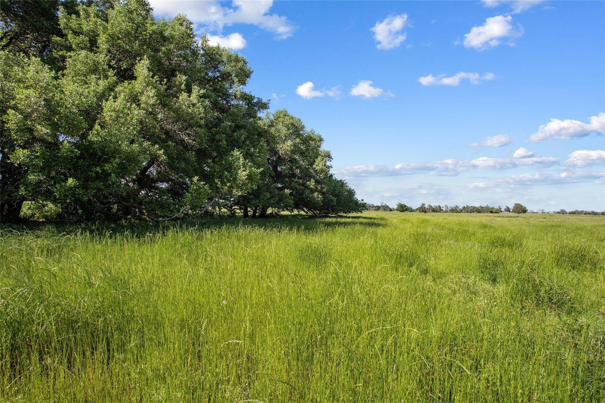 Giddings, TX 78942,TBD (Tract 3) FM 2239