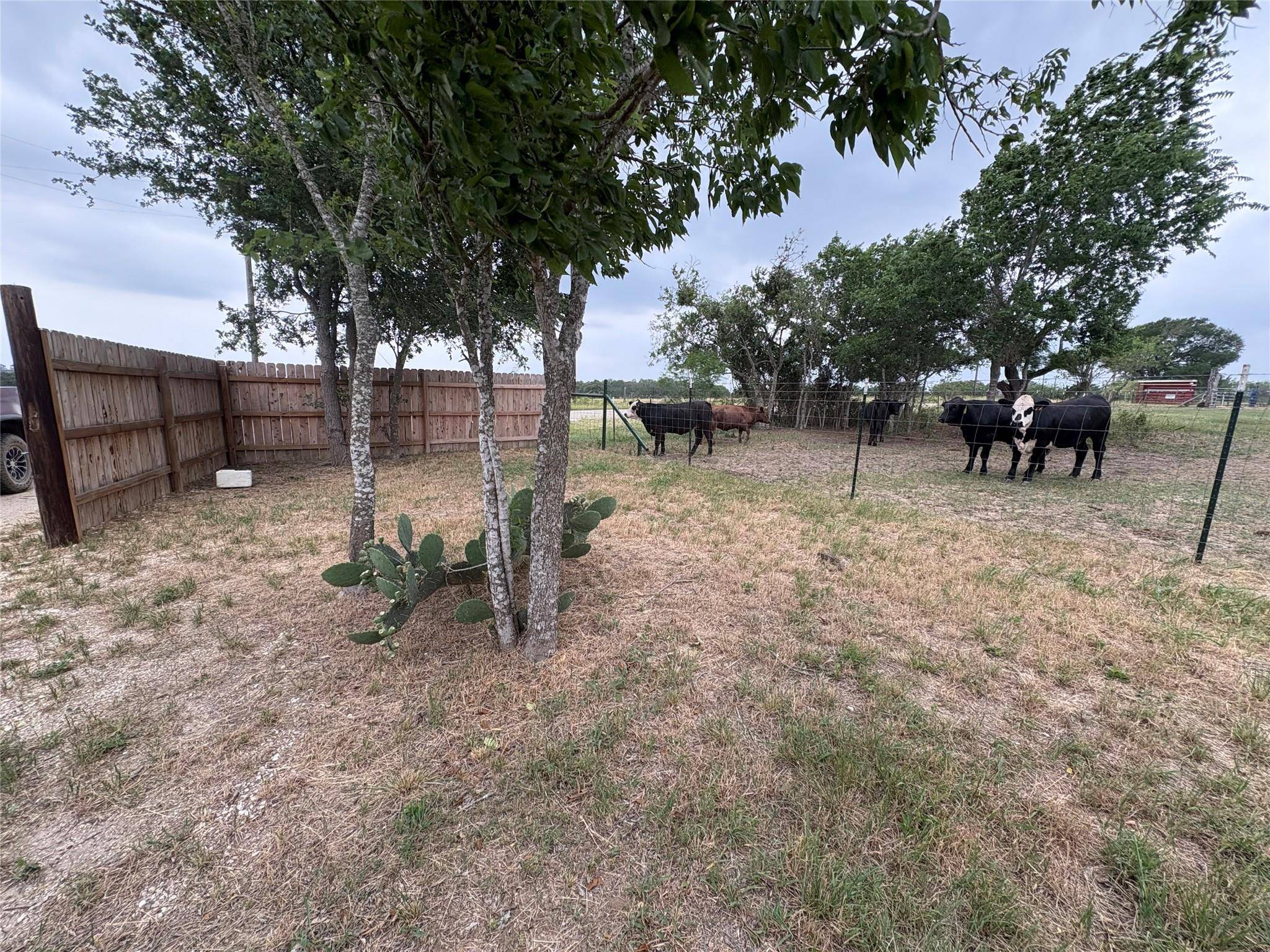 Lockhart, TX 78644,694 Brite RD