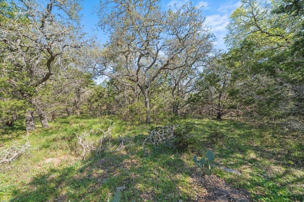 San Marcos, TX 78666,TBD Summer Mountain DR