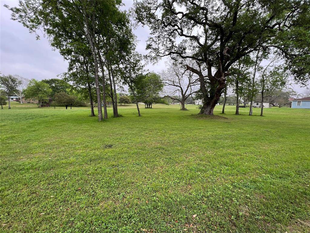 Flatonia, TX 78941,TBD Hudson ST