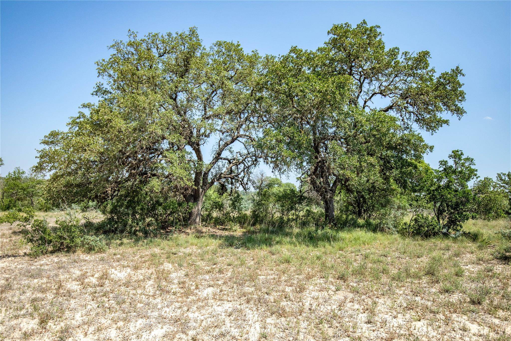 Center Point, TX 78010,180 Steel Creek CRST