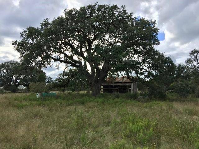 New Braunfels, TX 78132,2325 Purgatory RD