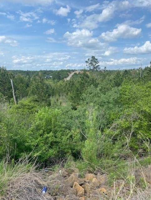 Bastrop, TX 78602,Lot 4 Kainalu LN