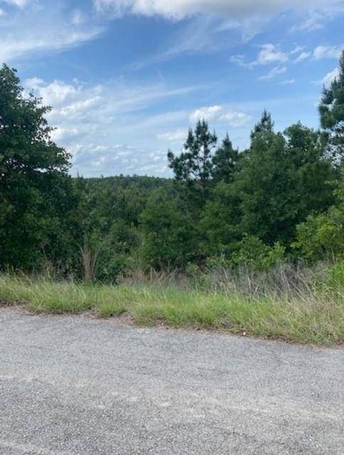 Bastrop, TX 78602,Lot 4 Kainalu LN