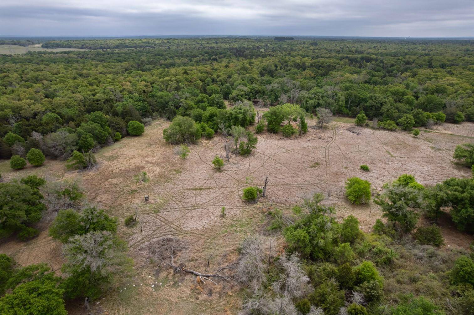 Groesbeck, TX 76687,0000 FM 937