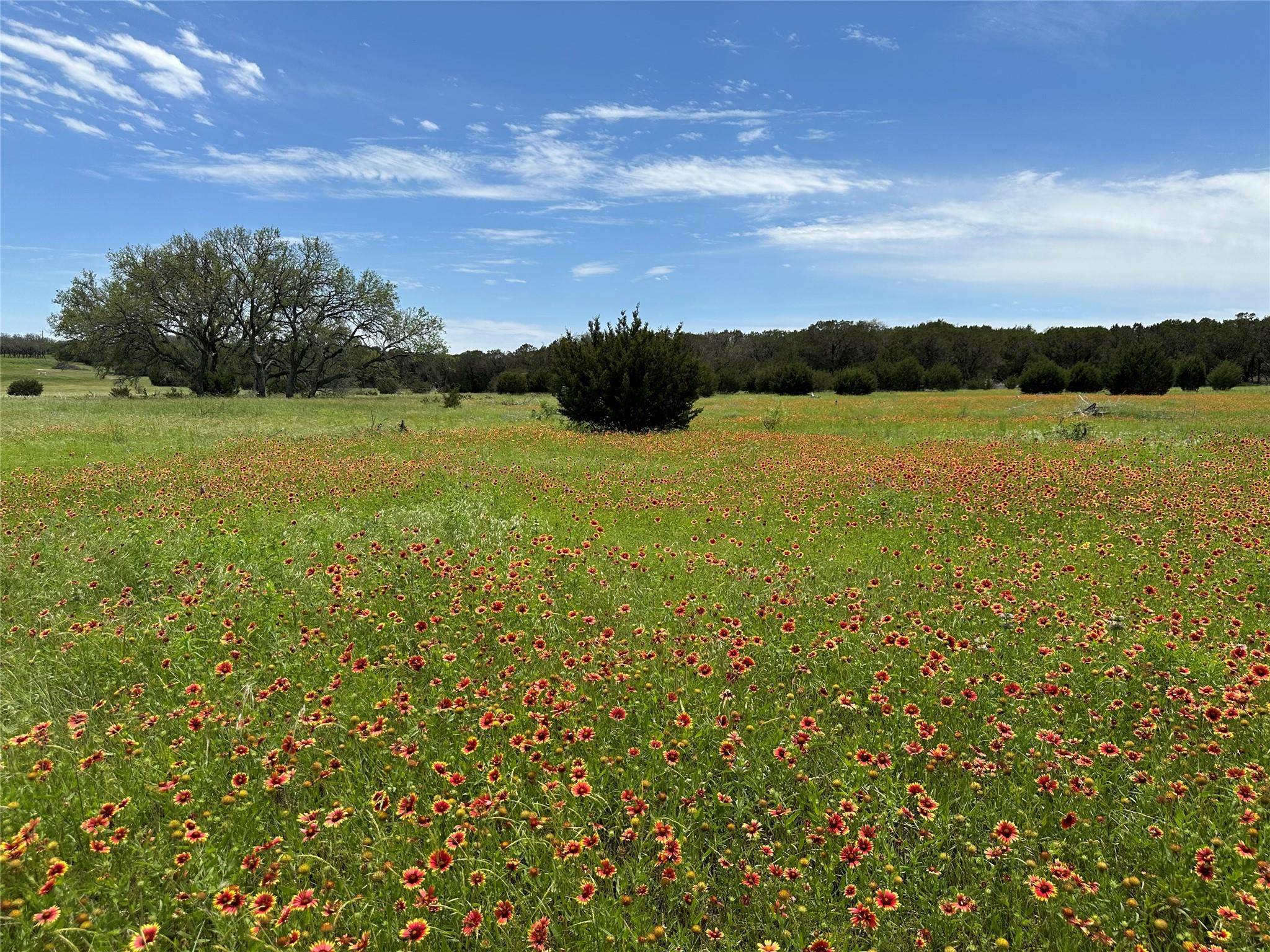 Lampasas, TX 76550,Lot 158 Addax CT