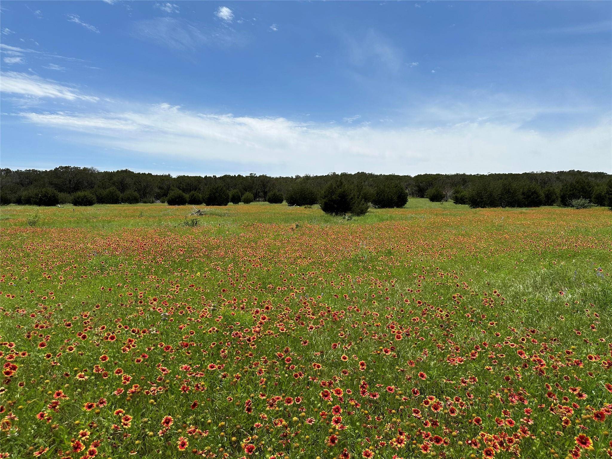 Lampasas, TX 76550,Lot 158 Addax CT