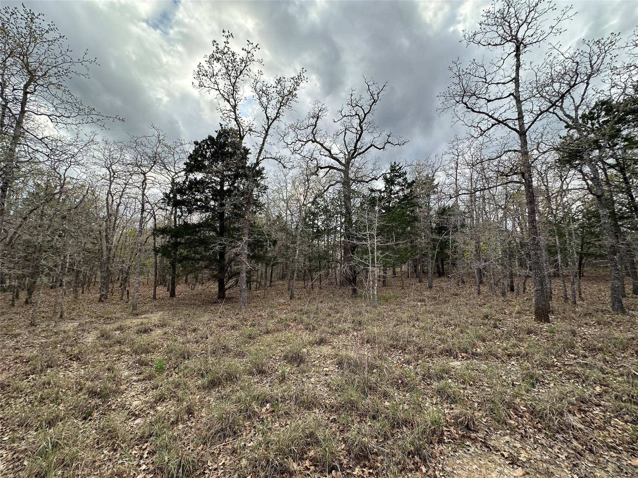 Paige, TX 78602,547 S. Old Potato DR