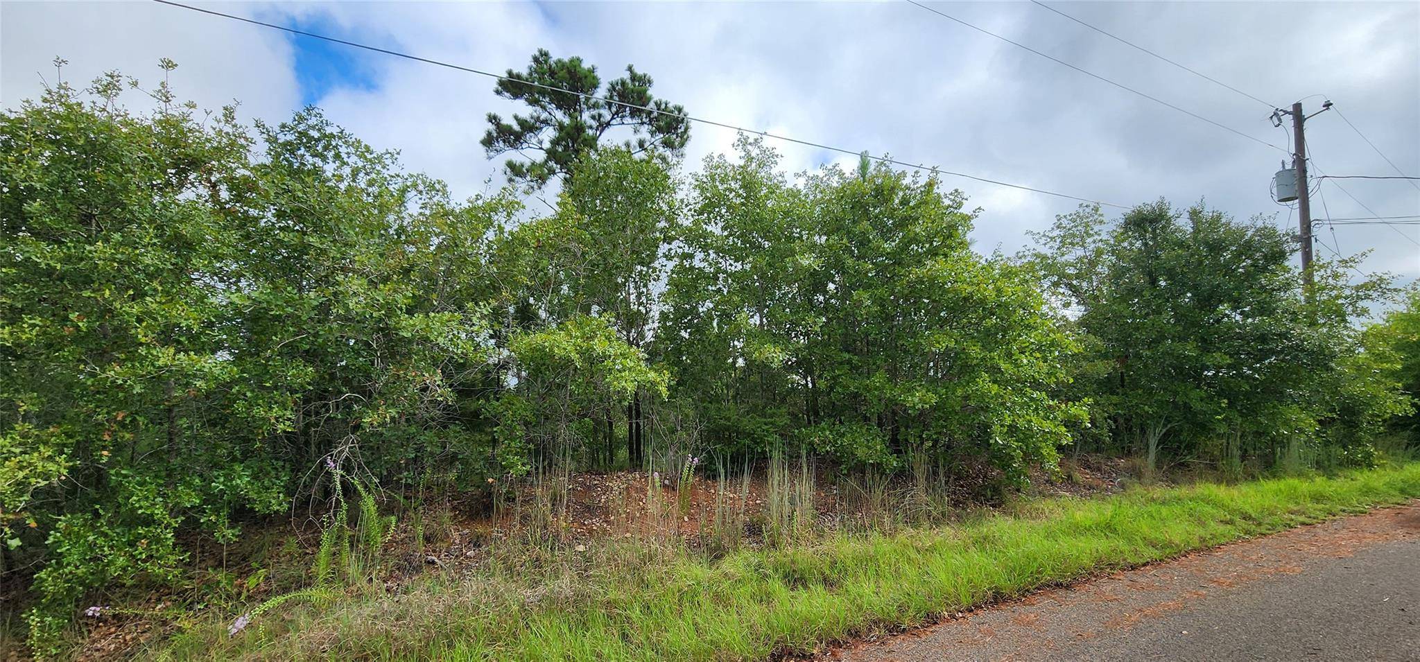 Bastrop, TX 78602,TBD Homonu (Lot 105) CT