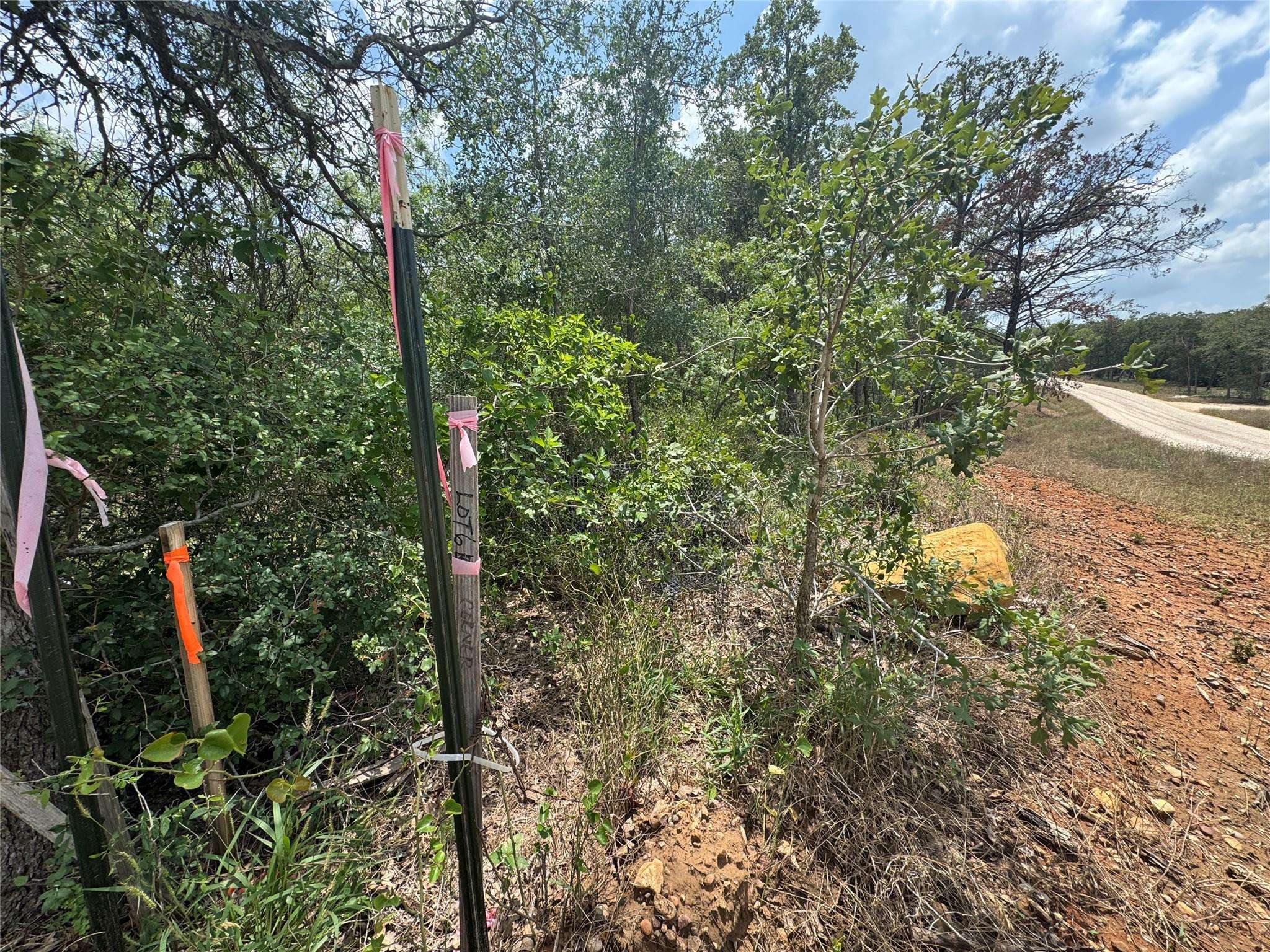 Dale, TX 78616,Lot 16 Hailey LN