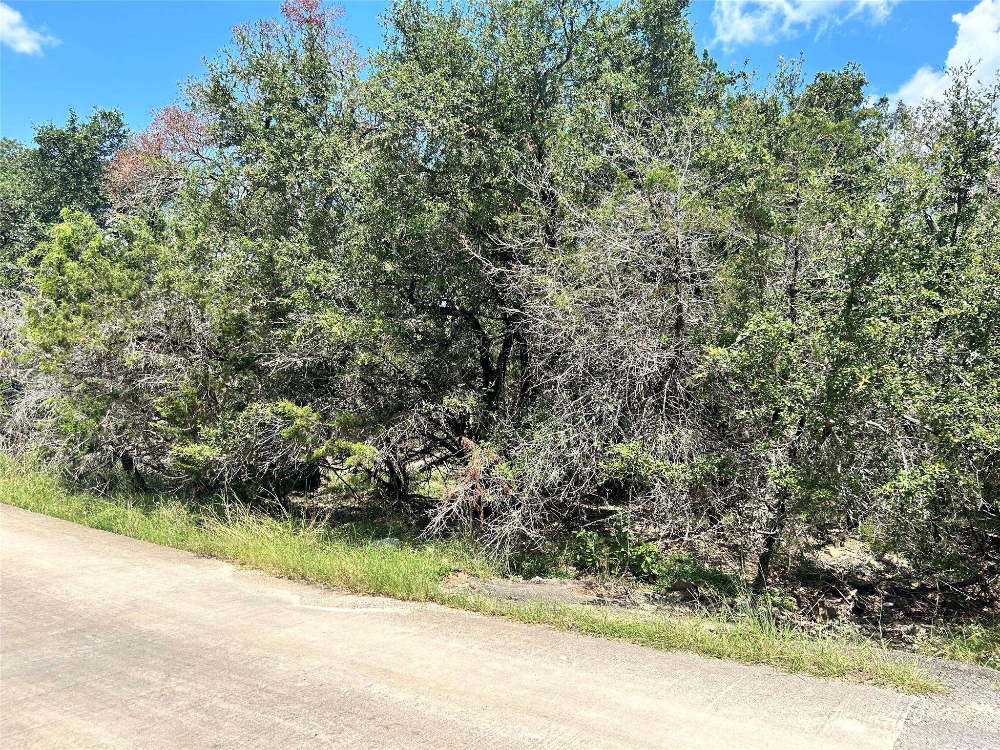 Wimberley, TX 78676,00 Wood Glen DR