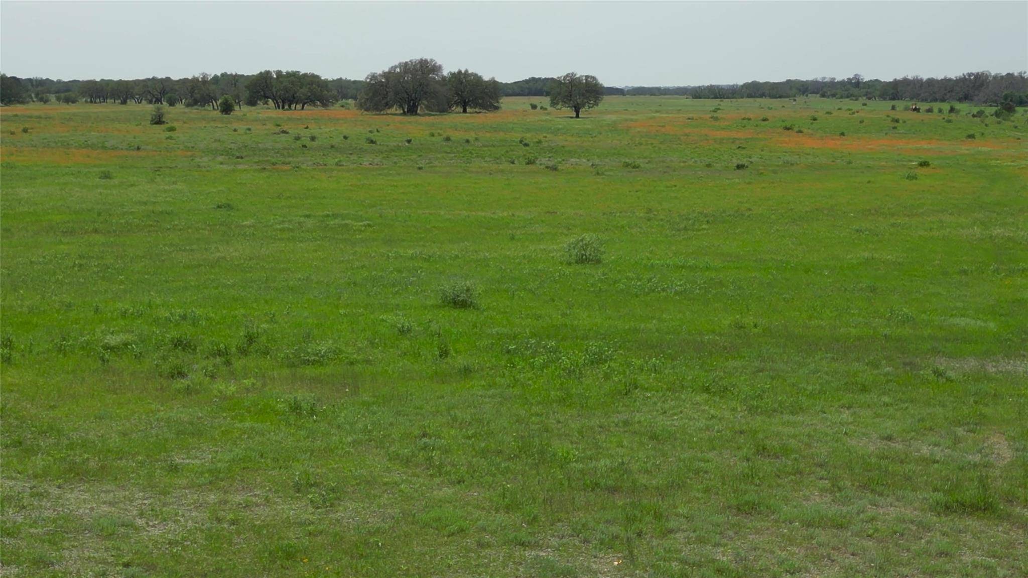 Lampasas, TX 76550,TBD CR 103