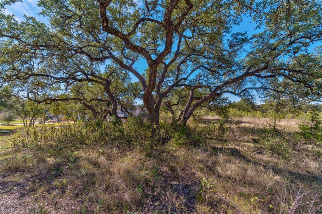 Austin, TX 78738,16917 WHISPERING BREEZE DR