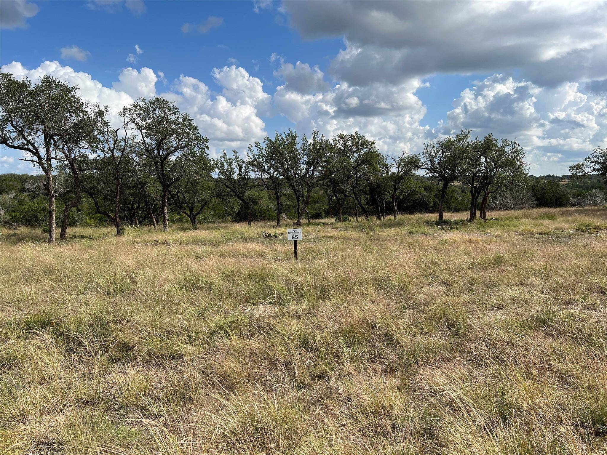 Junction, TX 76849,LOT 85 Spring Crossing XING