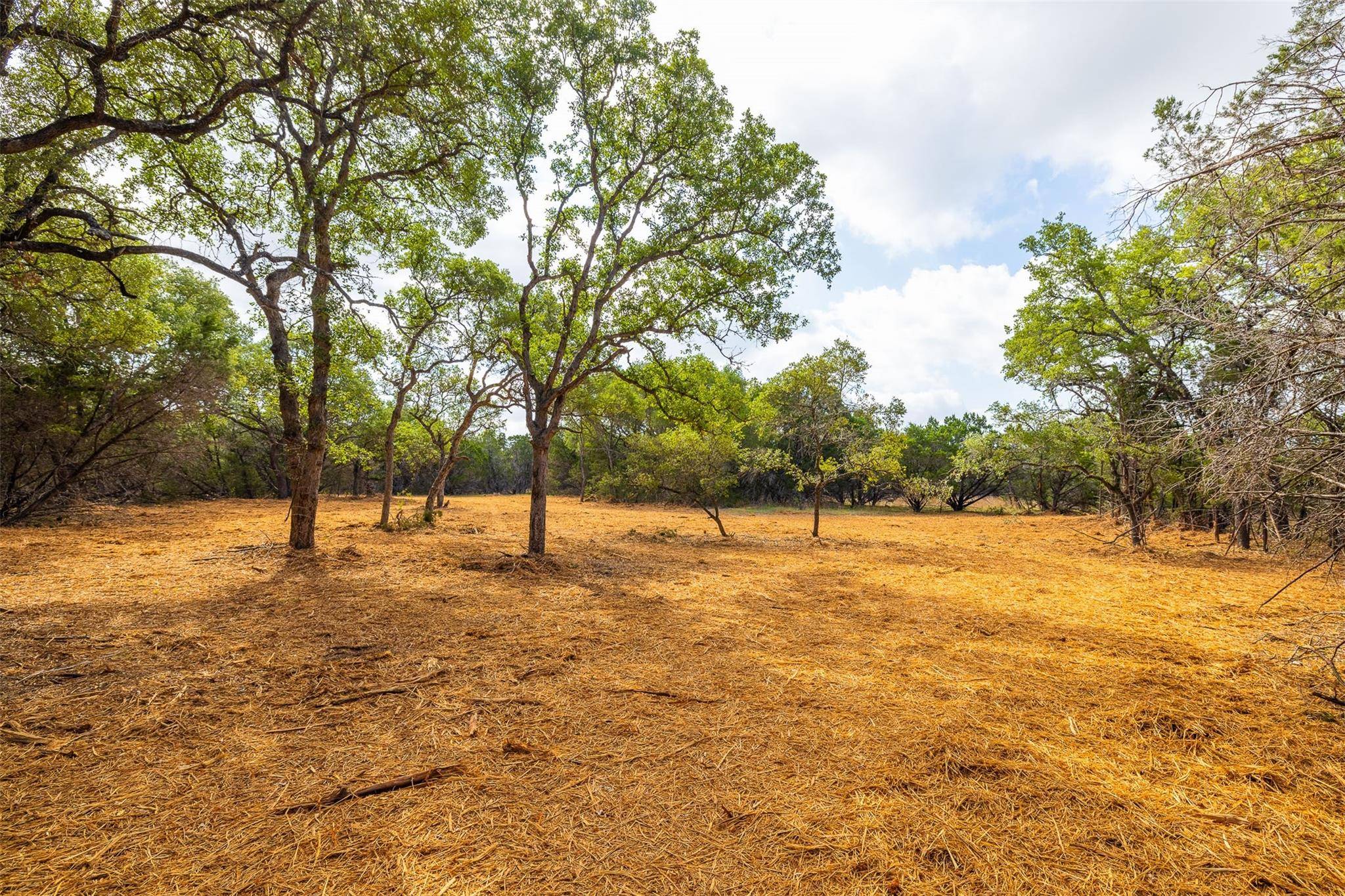 Wimberley, TX 78676,TBD Deer Run