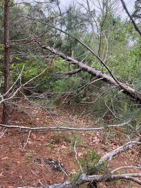 Bastrop, TX 78602,Lot 1603 Ulupau CIR