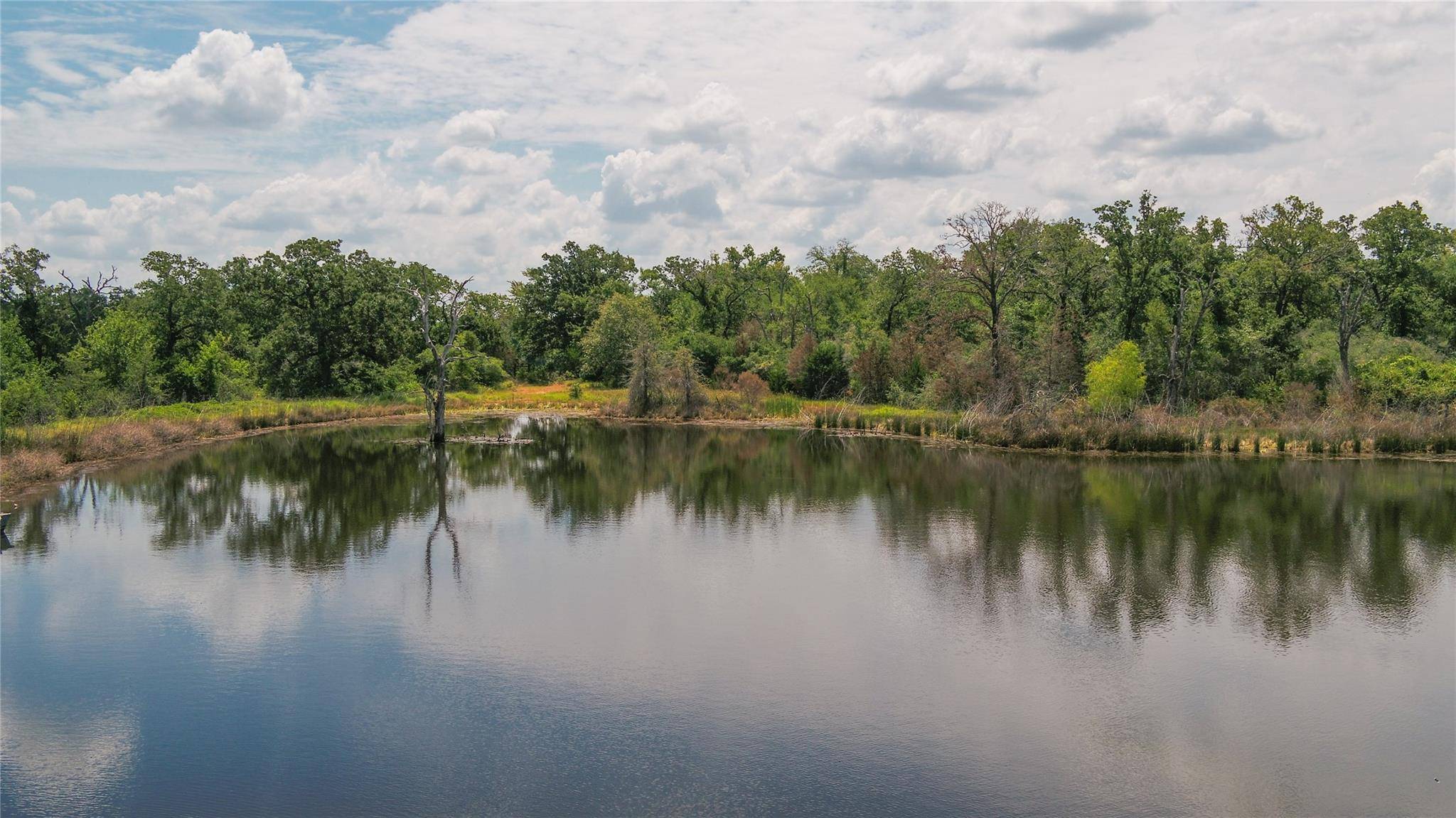 Milano, TX 76556,1669-A County Road 328