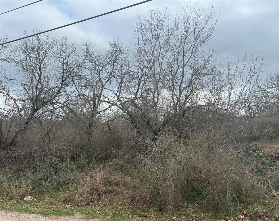 Granite Shoals, TX 78654,Lot 343 & 344 Eastcrest DR