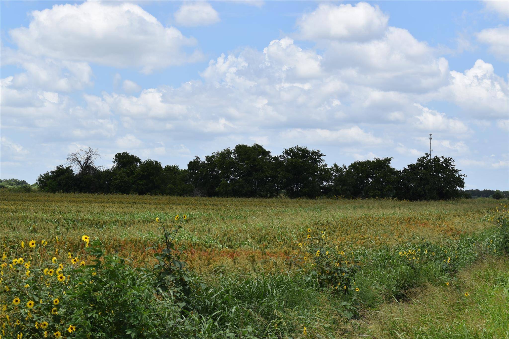 Buckholts, TX 76518,TBD County Road 109