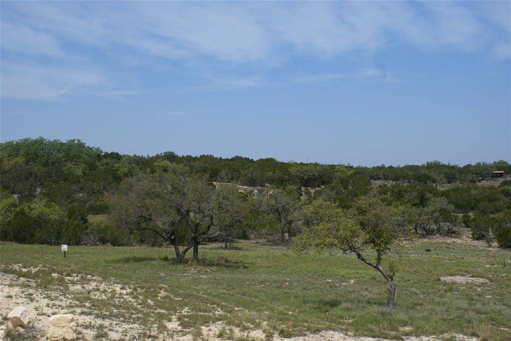 Johnson City, TX 78636,Lot 123 Legacy Hills DR