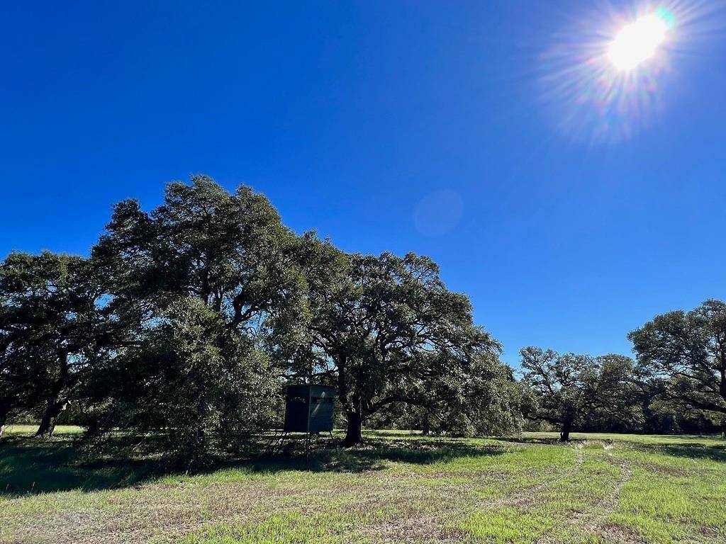 Brenham, TX 77835,TBD Affleck (11 ac) RD