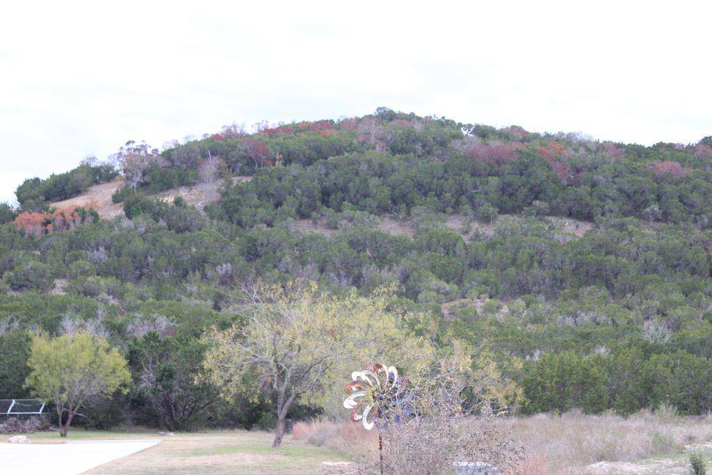 Bertram, TX 78605,218 Spring Hollow Drive DR