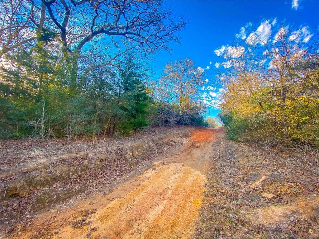 Caldwell, TX 77836,13.716 acres Starlight PATH