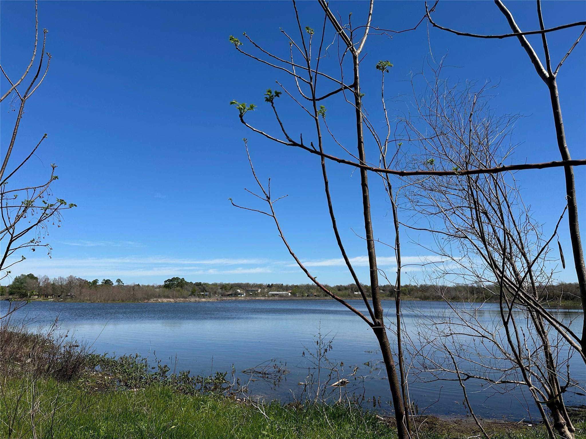 Cedar Creek, TX 78612,TBD Lake View DR