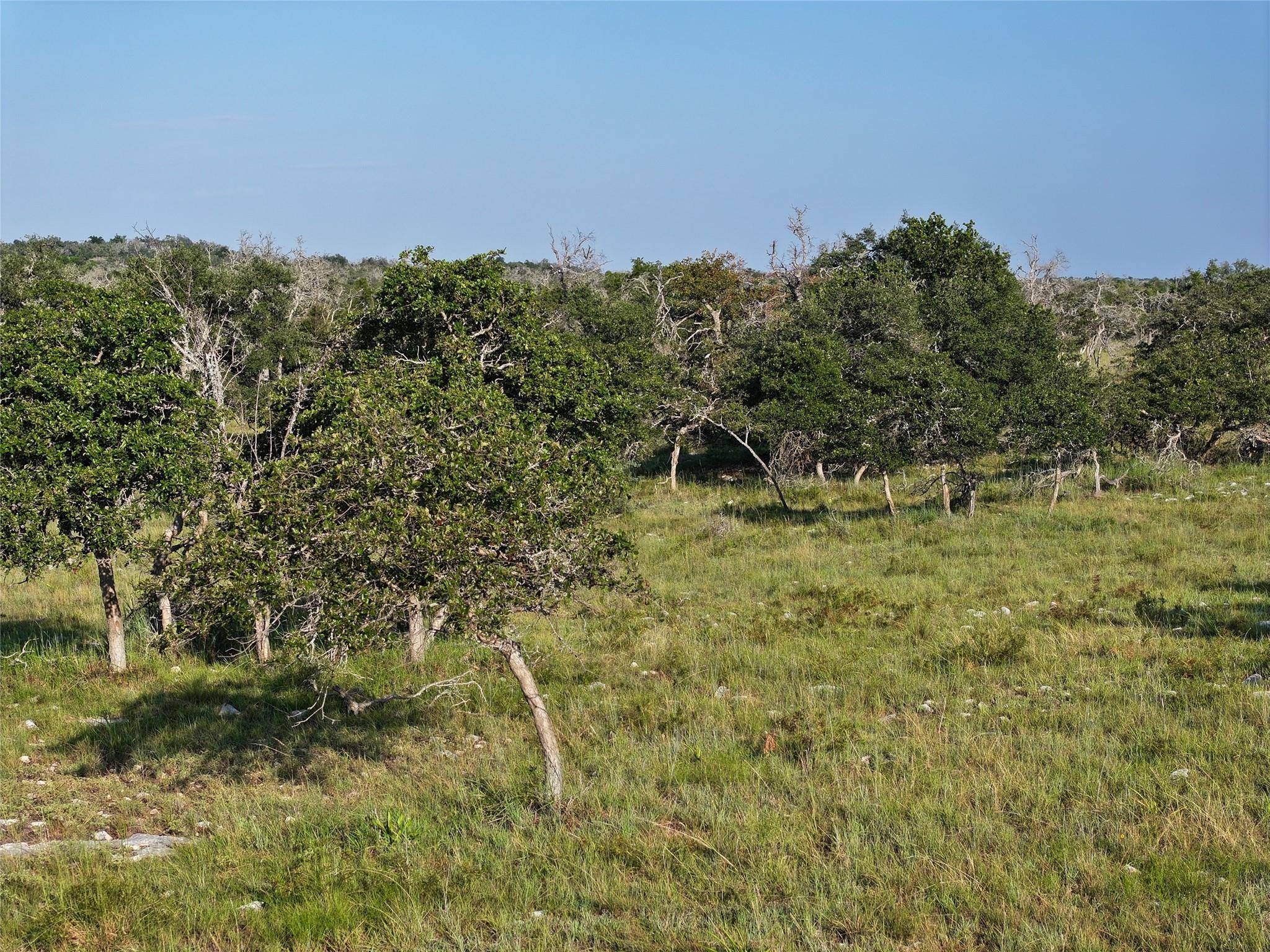 Harper, TX 78631,Lot 52 Reeh RD