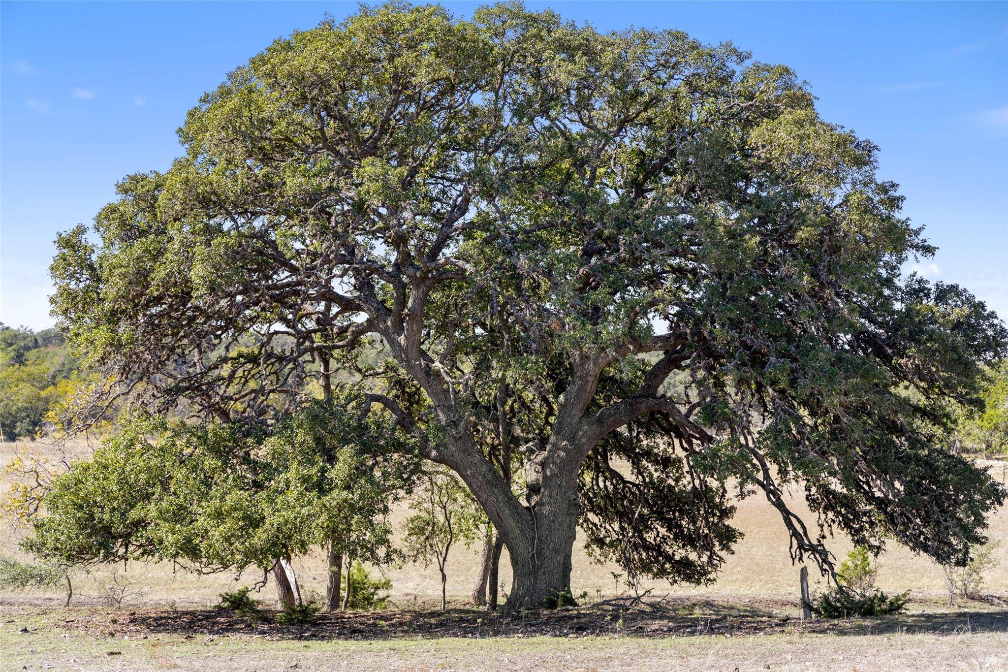 Comfort, TX 78013,4700 Grape Creek RD